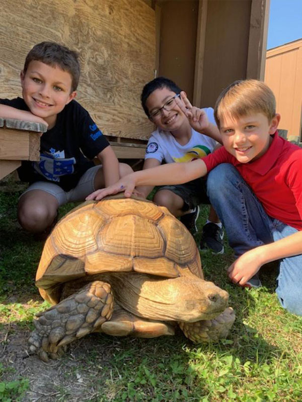 Three boys from Kid's Resort looking at a tortoise